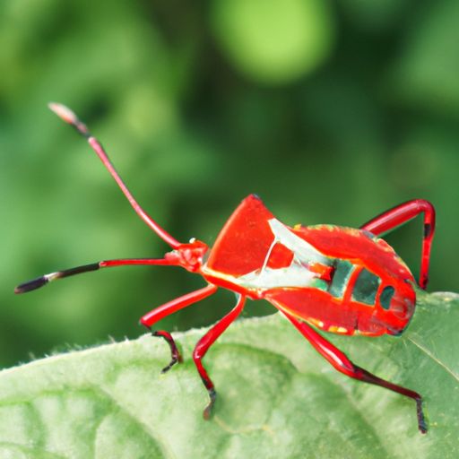 类似红警的游戏有啥 类似红警的游戏有啥