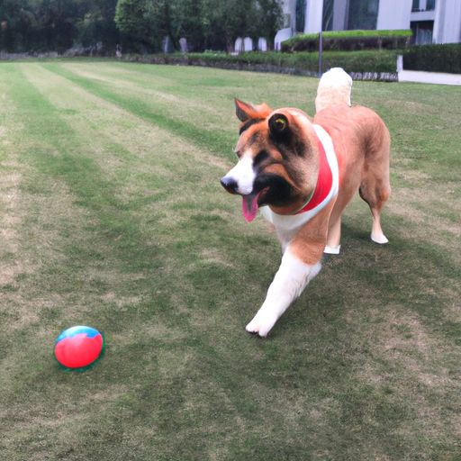 红警玩法 红警玩法