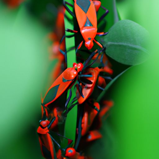 红色警戒类似游戏